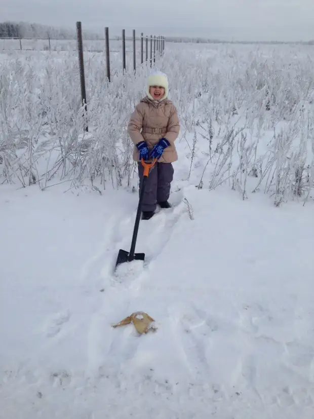 Як ми проводимо вільний час!