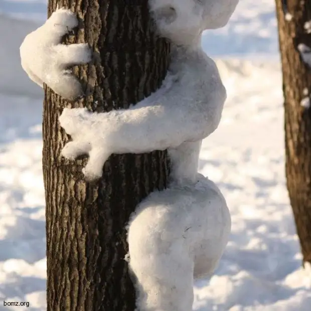 Las imágenes a petición le pidieron a su esposo que hiciera un muñeco de nieve para niños ...