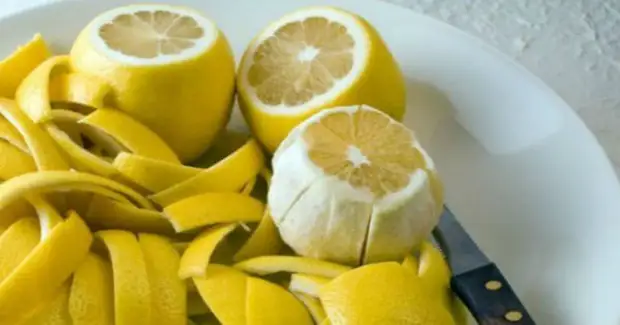 Magic Lemon สำหรับบ้านเพื่อชีวิต