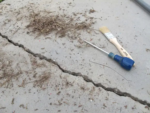 Site concret peint sous l'arbre