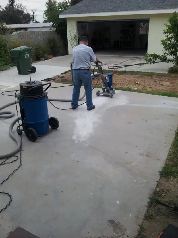 Local de concreto pintado debaixo da árvore