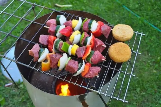 Deze zelfgemaakte grill is gewoon perfect voor picknicks in de aard van de grill, een picknick, doe het zelf