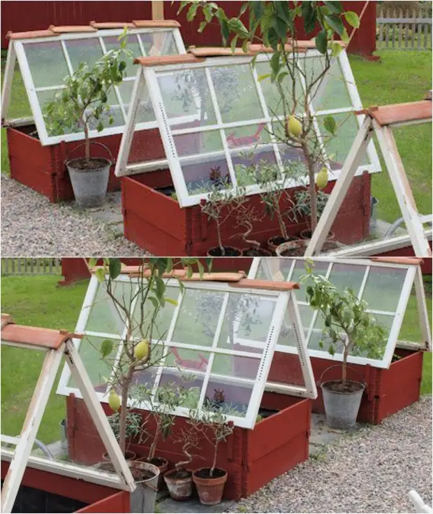 Greenhouses iyo inogona kuitwa nemaoko avo kubva pane zvinodhura zvinhu.