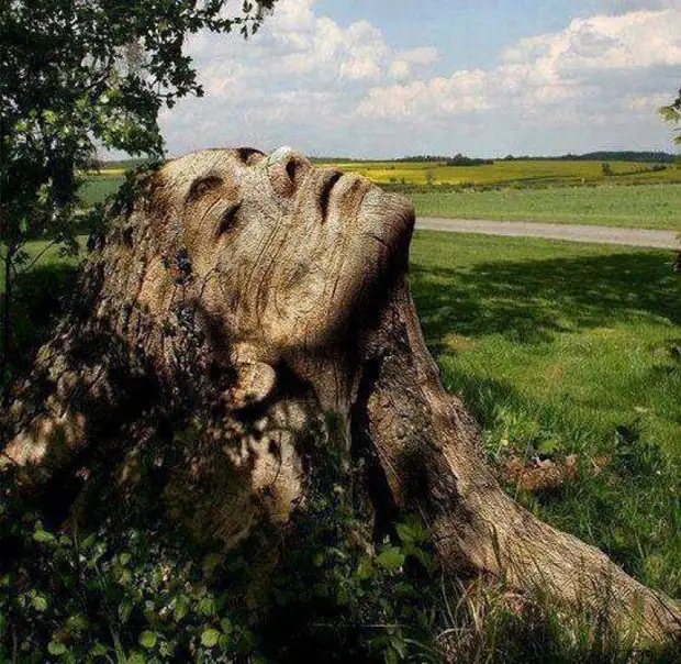 20 Tree sculptures - incredible magic!