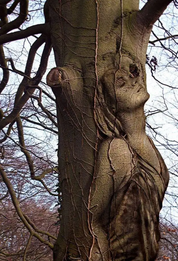 20 sculptures d'arbres - Magie incroyable!