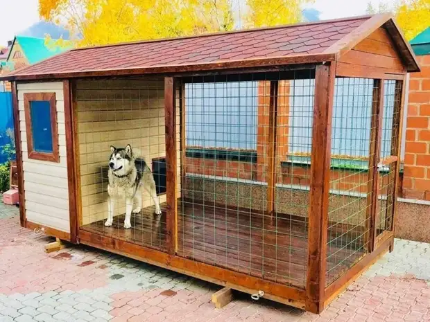 Cara membuat aviary for dog melakukannya sendiri