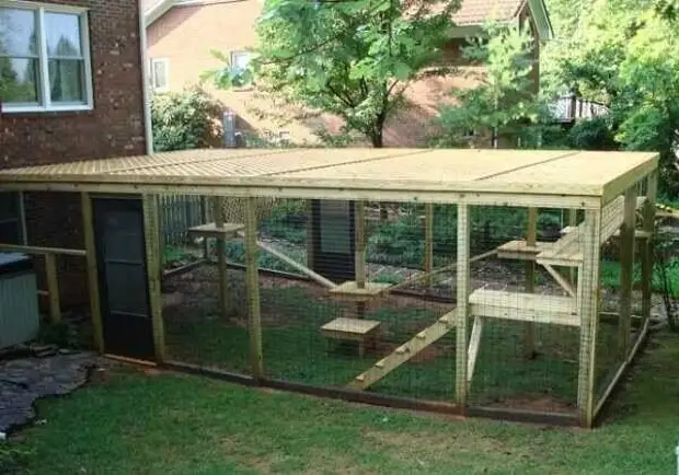 Bi o ṣe le ṣe Aviary fun aja ṣe funrararẹ