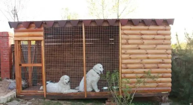 Wéi Dir Aviary fir Hond maacht et selwer ze maachen