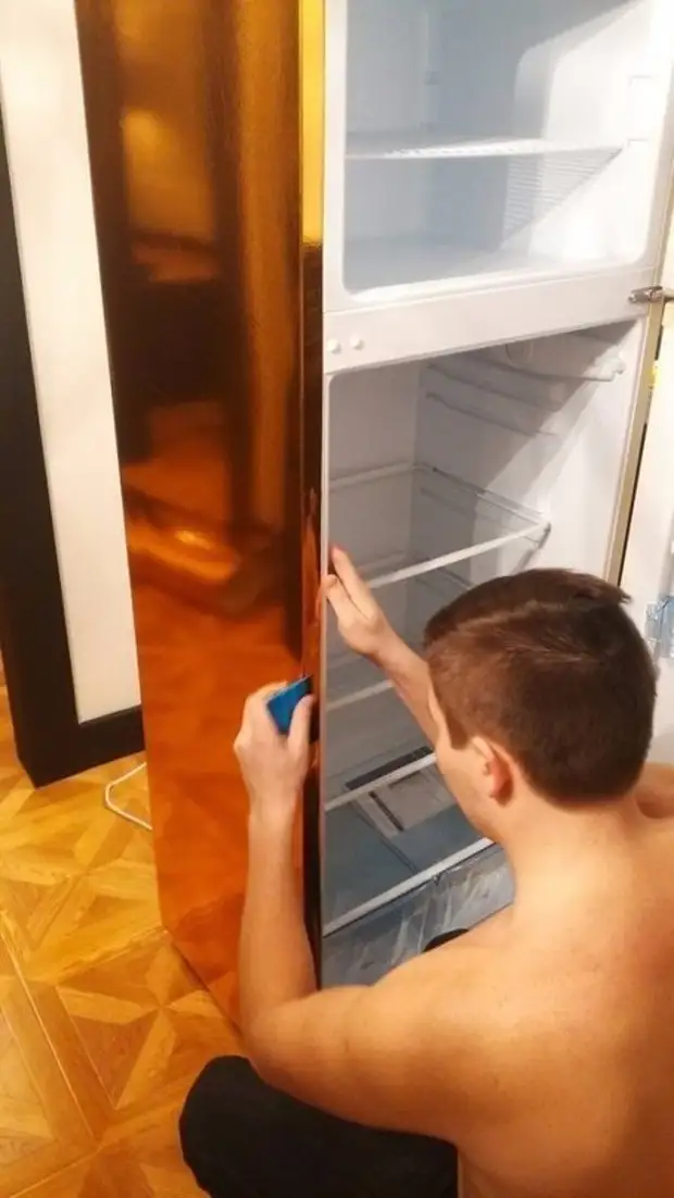 Make a new one from the old refrigerator!