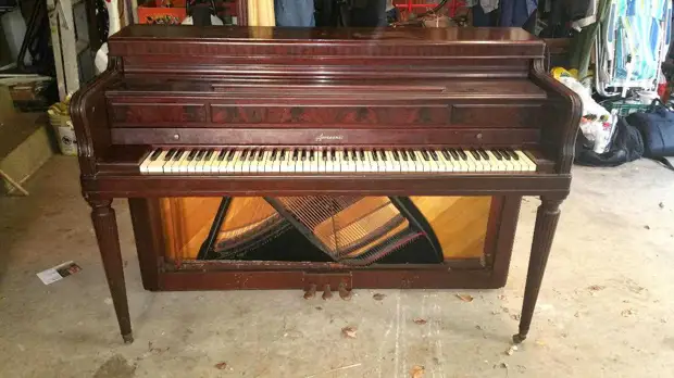 Lelaki itu memalingkan piano lama dalam bar wain yang sepenuhnya ajaib