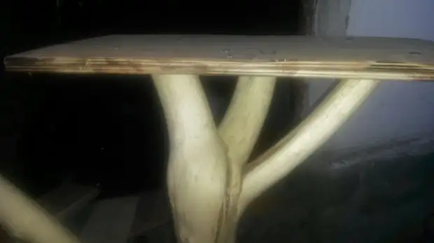 7. Plywood a cikin yadudduka 2. Farkon Layer an goge shi da ɓawon burodi, Layer na biyu ya glued da drink manne da goge zuwa kasan ƙasa. Dabbobi, kuliyoyi, yi da kanka, yi da kanka