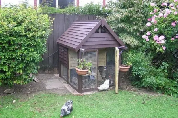 As an ordinary chicken coop to turn into an unusual decoration on the household plot