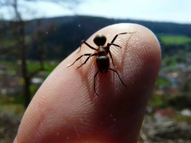 Najbolje ideje za korištenje tekućine za pranje posuđa