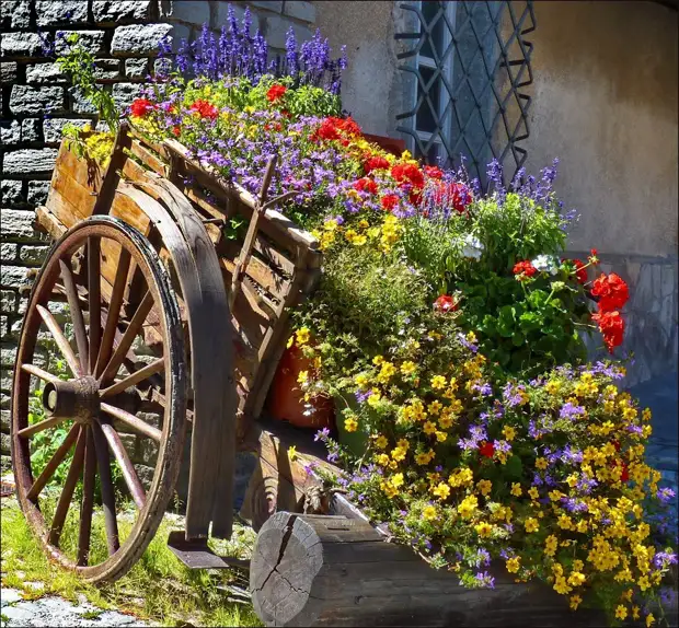 Canteiro de flores de carro