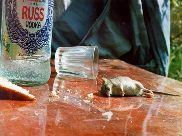 Vodka ئىشلىتىشنىڭ ئۆلچەملىك ئۇسۇللىرى