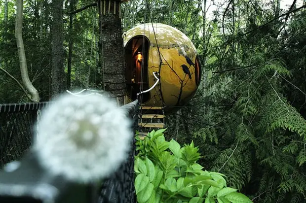 Spherical House sa kahoy: Uban sa ilang kaugalingon nga mga kamot