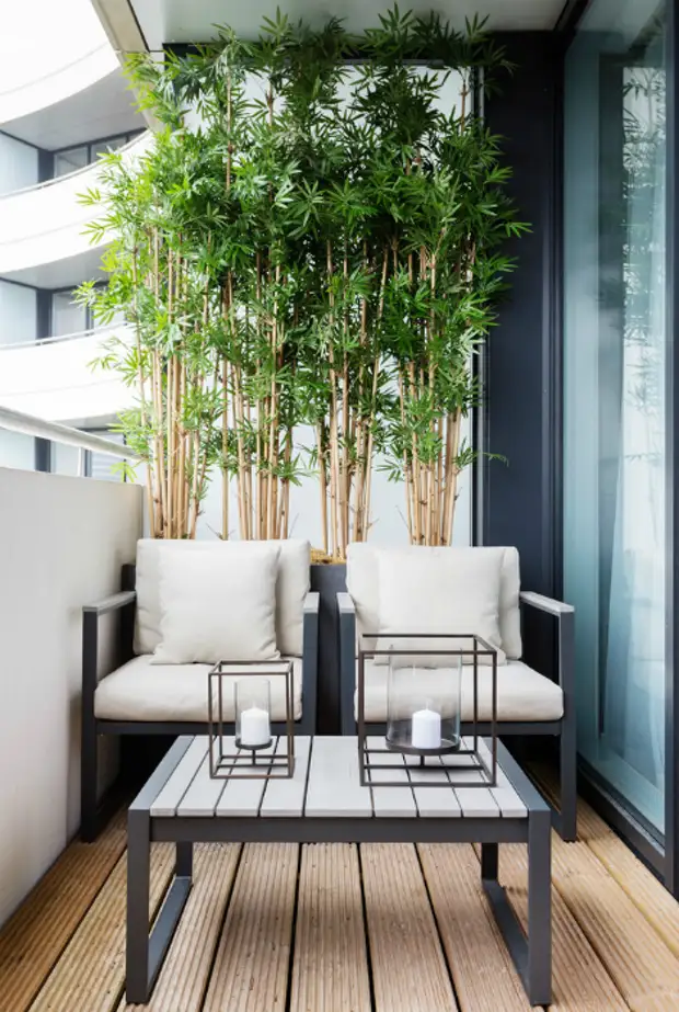 Narrow loggia with exotic plants.