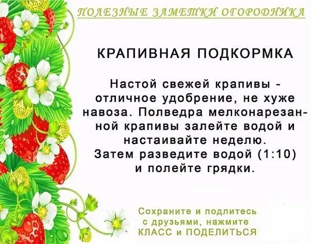 Malebela a sebetsang a serapa sa lirapa ka balemi ba lirapa, malebela a bohlokoa, lintlha