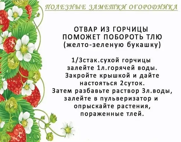 Malebela a sebetsang a serapa sa lirapa ka balemi ba lirapa, malebela a bohlokoa, lintlha