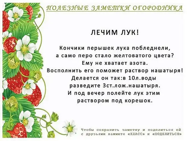 Бакчачылар бакчасы өчен файдалы киңәшләр, файдалы киңәшләр, фактлар