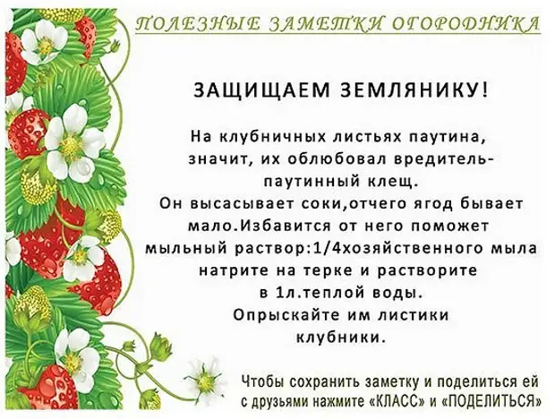 Бакчачылар бакчасы өчен файдалы киңәшләр, файдалы киңәшләр, фактлар