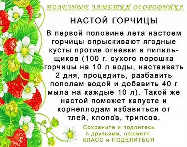 Ndụmọdụ bara uru maka ndị na-elekọta ubi, ndụmọdụ bara uru, eziokwu