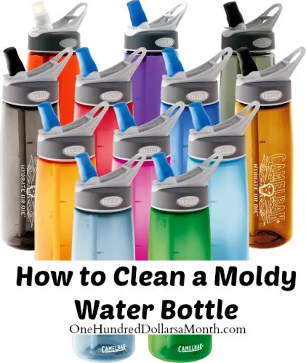1. नियमित रूप से घर, लाइफहाकी, उपयोगी टिप्स के लिए अपनी पानी की बोतल धो लें