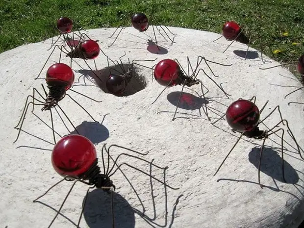 Fourmis d'ampoules