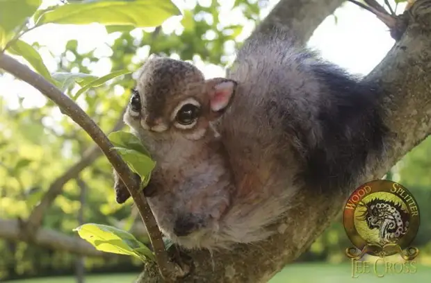 ଅବିଶ୍ୱସନୀୟ ହ୍ୟାଣ୍ଡମେଡ୍ ଖେଳନା |