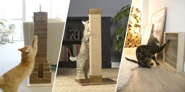 10 måder at ridse på en kat gør det selv