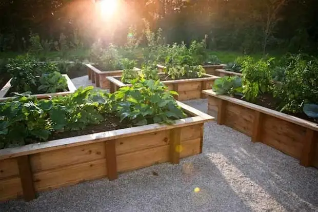 Beautiful ideas for the garden, who are easy to organize with their own hands, do it yourself