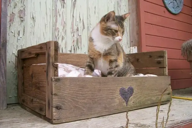 Furniture from old boxes and pallets