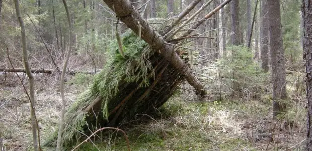 Хамгаалах байр барих байр барих, хүүхэд, тустай, шинж чанар, зөвлөмжүүд