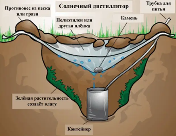 Опстанок за производство на вода, деца, корисни, природа, совети