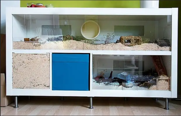 Ikea Bedside စားပွဲပေါ်မှာ Terrarium