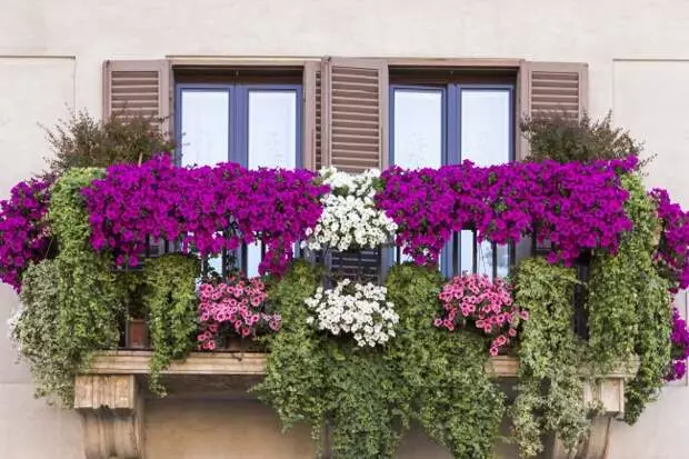 18 maneras de organizar un jardín en casa