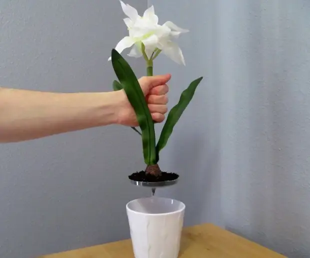 How to make a cache in a flower pot