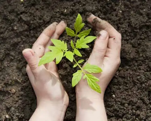 Bescherm de handgrepen na het werken in de tuin