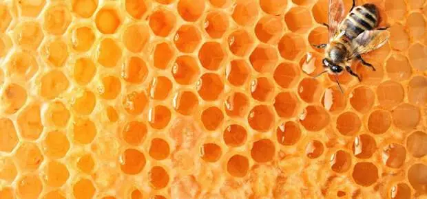 Peb Ua: Phab ntsa cov cuab yeej siv hauv daim ntawv ntawm honeycombs