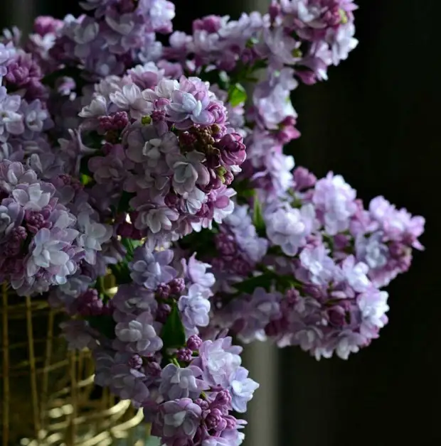 Olesi galcherchenko- ის საყრდენი რეალისტური ფაიფური ყვავილები