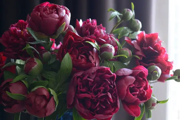 Zapanjujuće realističan porculansko cvijeće Olesi Galcherchenko