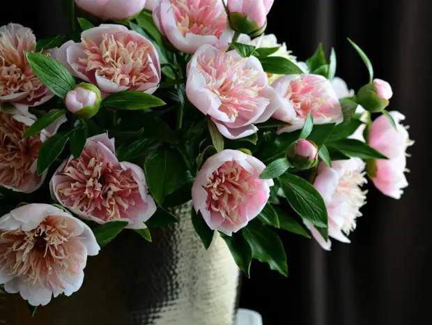 Flores de porcelana incorporada de Olesi Galchterchenko