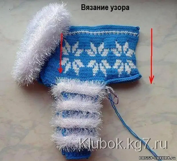 Knit ọnụ maka nkịta: klas nna ukwu maka ijikọ ọnụ