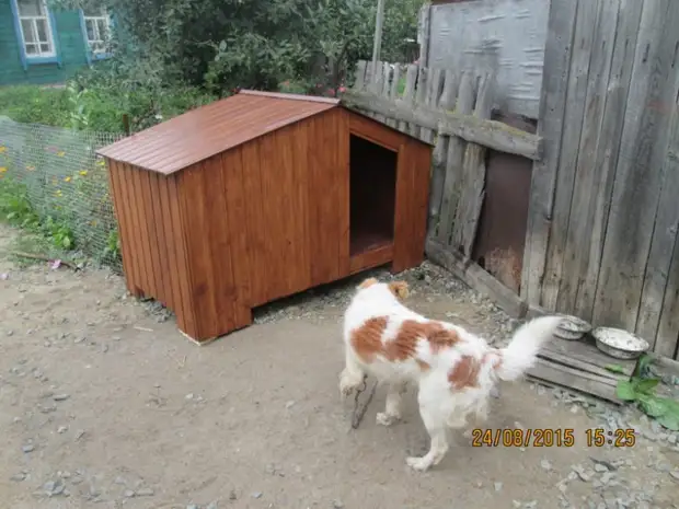 Ang Booth sa Dog sa Imong Kaugalingon