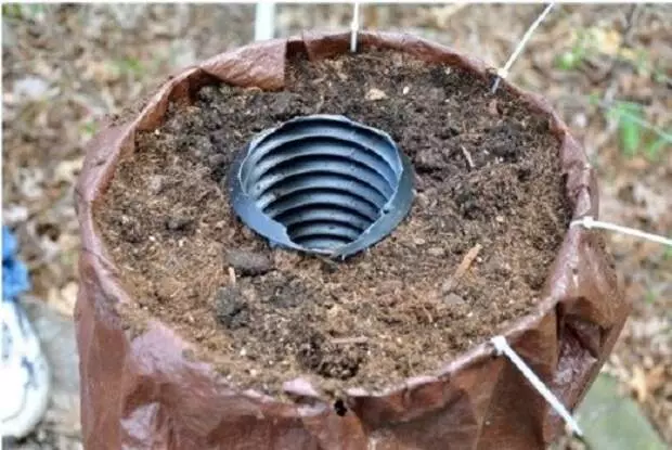 Il vaut la peine d'avoir du tuyau en plastique dans le conteneur pour voir un miracle dans quelques semaines!