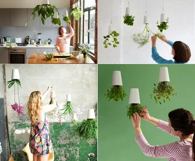 Flowers Up Roots: Comment faire un jardin suspendu