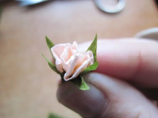 Hoa hồng từ giấy lượn sóng cho bưu thiếp 