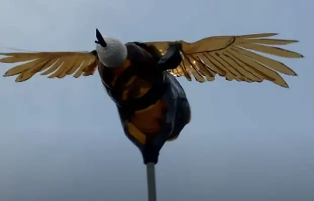 Dountier gjorde fugleskremsel fra en plastflaske som fugler flyr av den tiende veien
