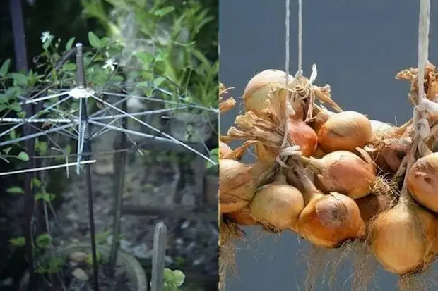 Eski şemsiye - bahçede ikinci hayat