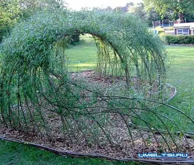 Live Gazebo van Willow: Voorbeelde van oorspronklike idees